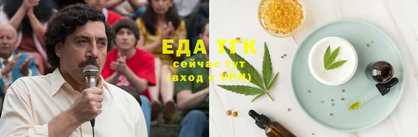 индика Вязьма