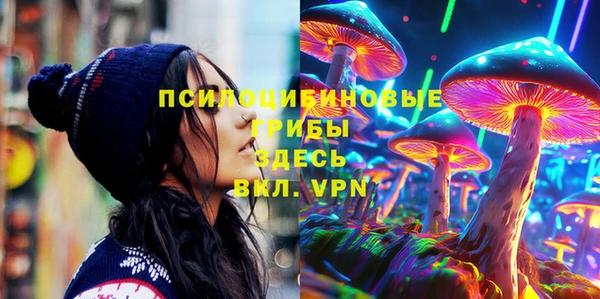 индика Вязьма