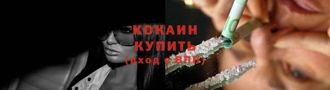 индика Вязьма