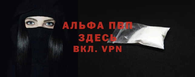 индика Вязьма