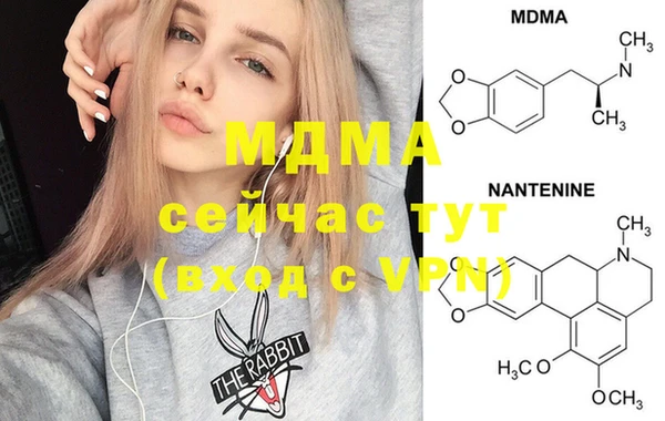 индика Вязьма