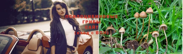 индика Вязьма